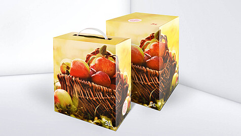 5l carton with apple basket print and imprint