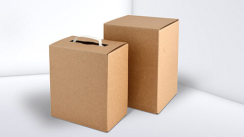 Brown carton without imprint, with and without carrying strap