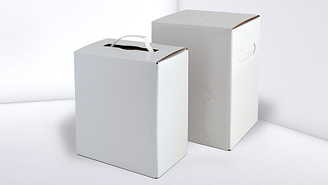 White carton without imprint, with and without carrying strap